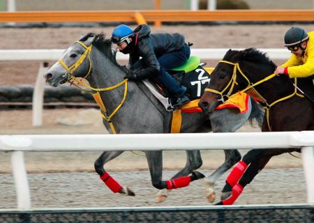 　キングズオブザサン（左）は栗東ＤＰの併わせ馬で絶好の動きを披露した（撮影・石湯恒介）