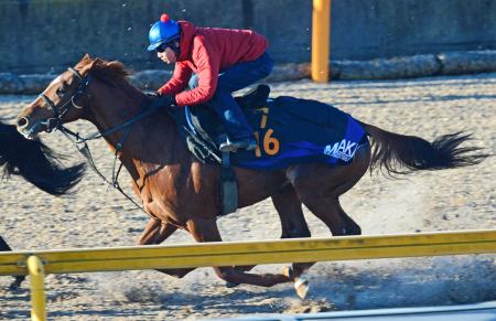 田辺を背に追い切ったディアデルレイ