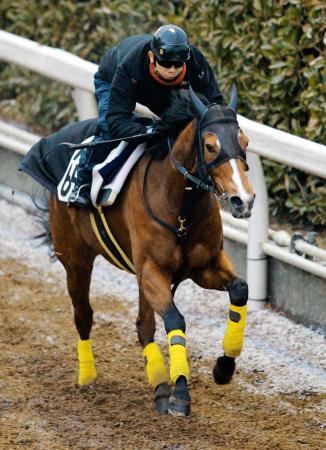 　有終Ｖを目指し栗東坂路を駆け上がるドナウブルー