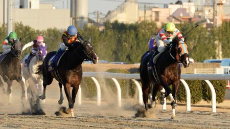 　圧倒的人気に応え川崎記念を制したホッコータルマエ（右）