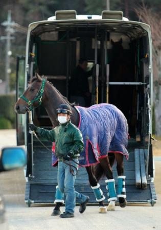 栗東トレセンに再入厩したボラーレ