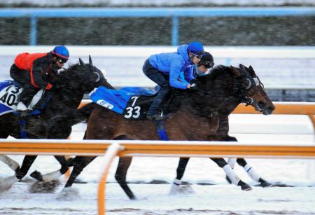 　武豊を背に栗東ＣＷで最先着を決めたトーセンスターダム（手前）＝撮影・山口　登