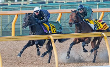 　美浦Ｗの併せ馬で精神面の成長をアピールしたコディーノ（左）