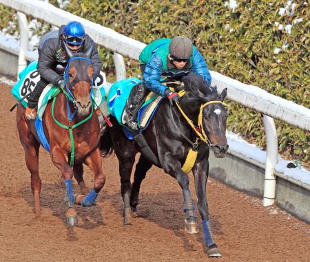 　栗東坂路の併せ馬で先着したピークトラム（右）