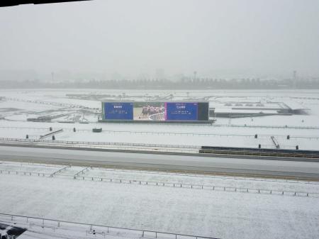 　雪のため開催を中止した東京競馬場の風景