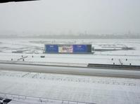 東京競馬が降雪で中止…月曜に代替開催