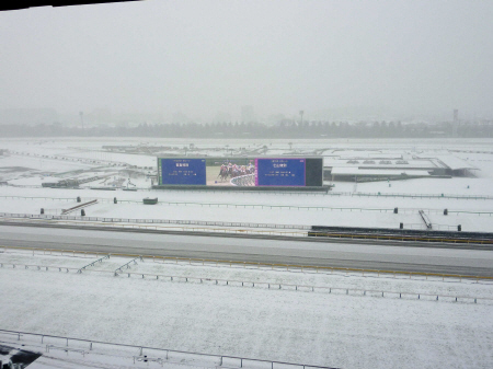 雪で中止となった８日の東京競馬場