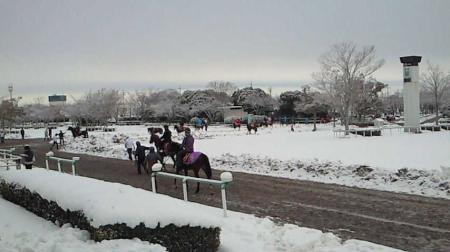 　大雪の影響が残る美浦トレセン