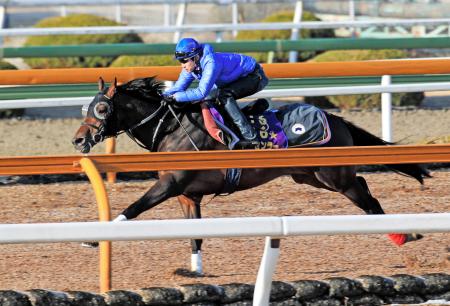 　武豊を背に栗東ＣＷで追われたトーセンラー。切れ味はさすがだ（撮影・山口　登）