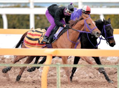 　フォーエバーモア（手前）は美浦Ｗで弾むような動きを披露（撮影・田村亮介）