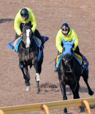 　併走馬を追走するイスラボニータ（左）。レース延期の影響は皆無だ（撮影・田村亮介）