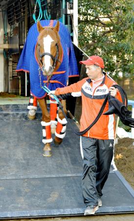 　東京競馬場に到着したベストウォーリア（撮影・田村亮介）