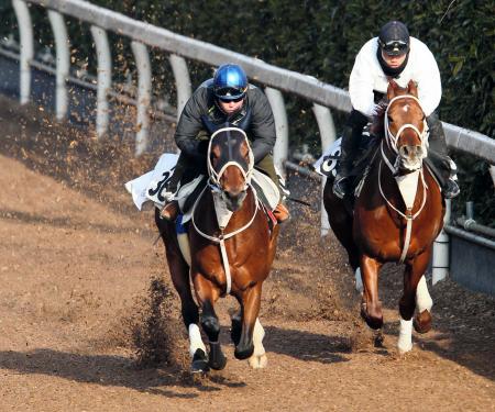 　栗東坂路で追い切るダノンシャーク（左）（撮影・石湯恒介）