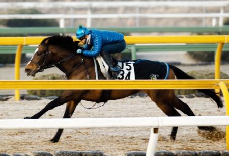 　栗東ＣＷで滑らかなフットワークを披露したトウケイヘイロー（撮影・山口　登）