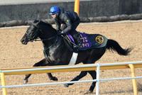 【中山記念】ロゴタイプ勝負態勢整った