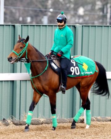 　開幕馬場で快速発揮が期待されるミッキーアイル