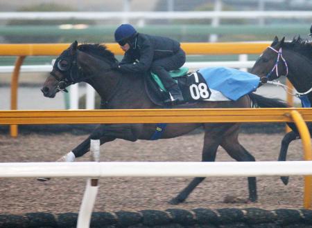 　栗東ＣＷで抜群の動きを見せたトゥザワールド（撮影・石湯恒介）