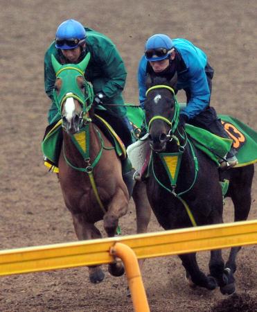 　美浦Ｗを併せ馬で追われるヌーヴォレコルト（左）