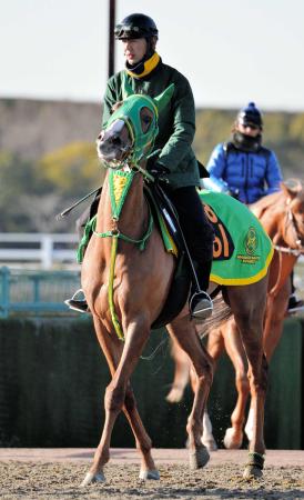 　質の高い３歳牝馬がそろっている斎藤厩舎が、一発を狙ってヌーヴォレコルトを送り出す
