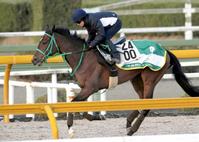 【中日新聞杯】ラキシス末脚さえた！