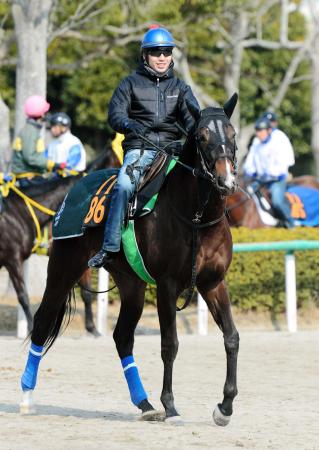 　マーブルカテドラルの実績は一枚上だ（撮影・三好信也）