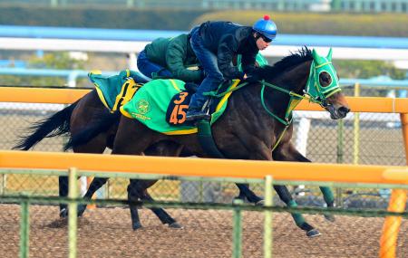 　クリスマス（手前）は美浦Ｗで軽快な動きを披露（撮影・三好信也）