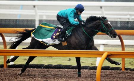 　エピファネイアは馬体を鮮やかに伸縮させて栗東ＣＷを駆け抜けた