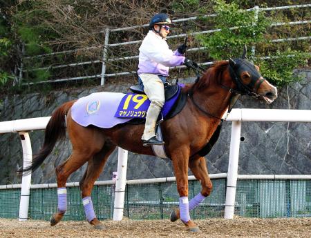 　今年のメンバーならマヤノリュウジンの一発が期待できる