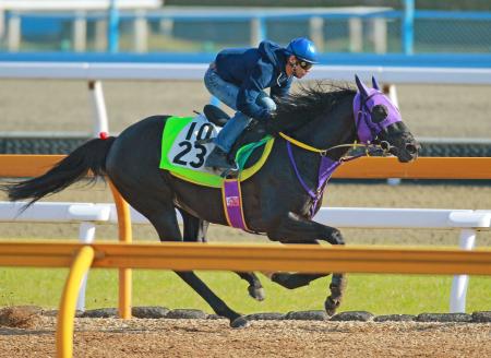 　浜中を背に上がりを伸ばしたショウナンマイティ