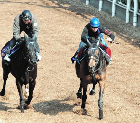 　Ｇ１馬同士の豪華併せ馬でレッドリヴェール（右）は先着を決めた（撮影・山口　登）