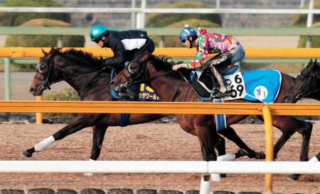 栗東ＣＷの併せ馬でトゥザワールド（左）は楽に先着を決めた