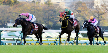 ステイヤーズＳを制したトウカイトリック（左）＝２０１２年１２月１日、中山競馬場