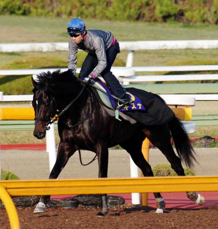 春の盾で国内最強を証明したいキズナ