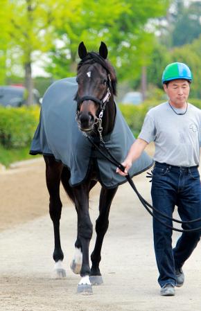 　キズナが大一番で進化した姿を見せつける