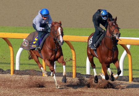 　福永を背に栗東ＣＷで追い切るエイシンブルズアイ（左）（撮影・石湯恒介）