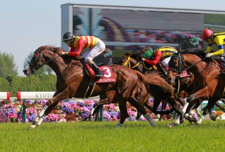 　連勝でダービー切符をつかんだハギノハイブリッド（左）＝撮影・石湯恒介