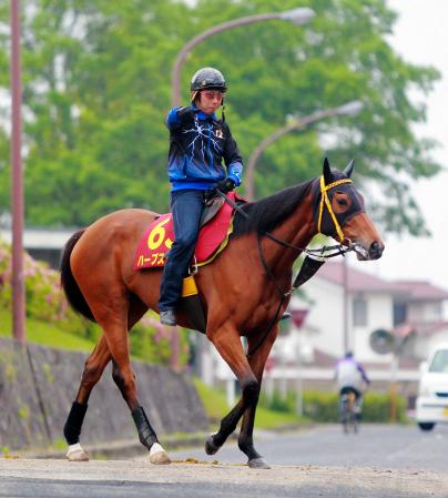 　史上１４頭目の“春牝馬２冠”を目指すハープスター