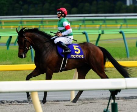 　３着と健闘したバウンスシャッセ＝東京競馬場（撮影・三好信也）