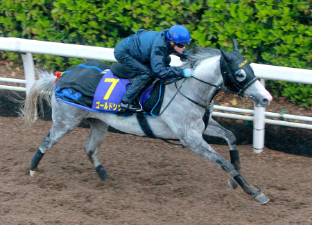 　宝塚記念で横山典と初コンビを組むゴールドシップ