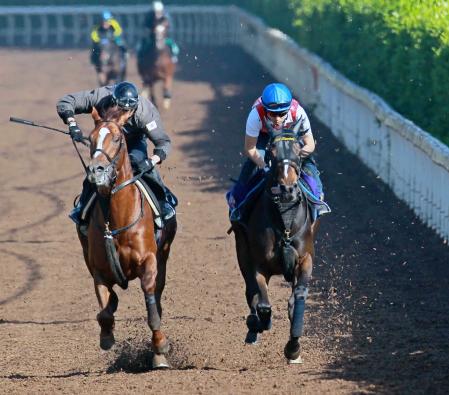 　福永を背にレッドリヴェール（右）は栗東坂路で小柄な馬体を躍動させた