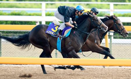 　イスラボニータ（手前）は美浦Ｗで蛯名を背に２冠獲りへ軽快な動き（撮影・三好信也）