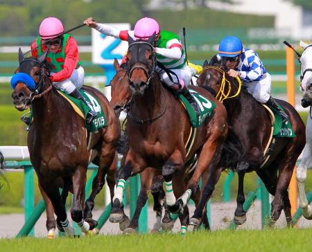 　藤岡康のステッキに応え、脚を伸ばすディアデラマドレ（中央）＝撮影・石湯恒介
