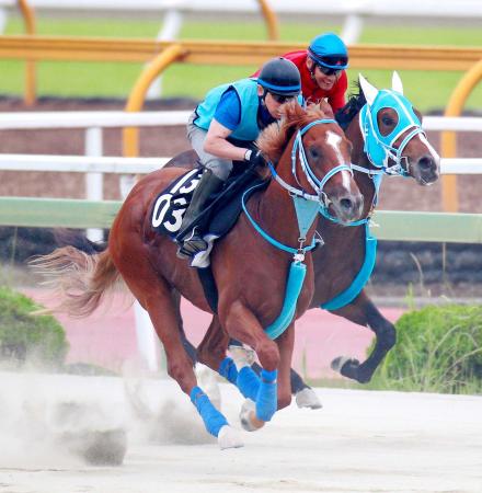 　栗東Ｂでメイショウパワーズ（手前）は迫力十分の動き