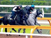 　ゴールドシップ（右）は先週に続き横山典がまたがり、栗東ＣＷで追われた（撮影・石湯恒介）