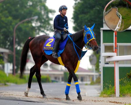 　悲願のＧ１制覇を狙うウインバリアシオン