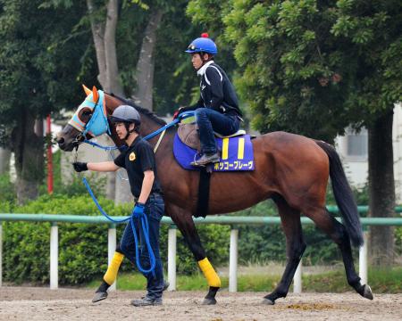 　宝塚記念で大駆けを狙うホッコーブレーヴ