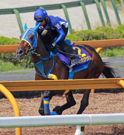 　岩田を背に栗東ＣＷを駆けるウインバリアシオン。悲願Ｖへ向け態勢は整った