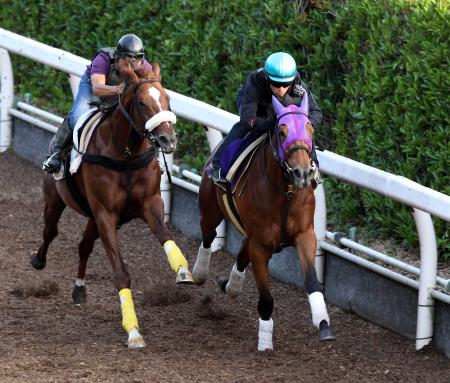 　ジェンティルドンナ（右）は栗東坂路でブレのない走りを披露した（撮影・山口　登）