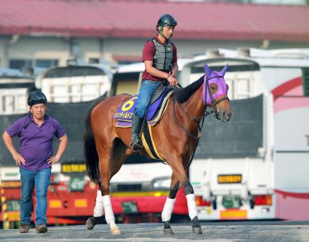 　Ｇ１・７勝目を目指すジェンティルドンナ