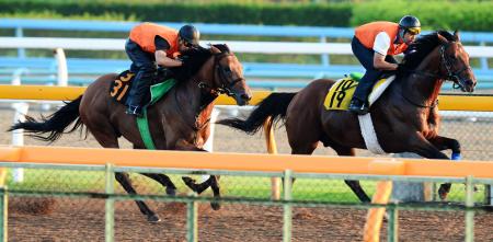 ダイワファルコンと併走追いを行ったクラリティシチー（左）